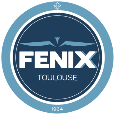 1200px-Fénix_Toulouse_Handball_2016_logo.svg.png